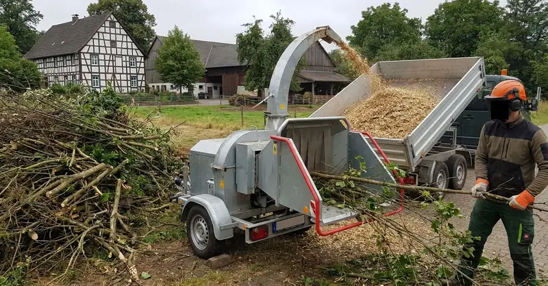 Häcksler im Einsatz, geschnittenes Astwerk und ein halb gefüllter Kipper daneben