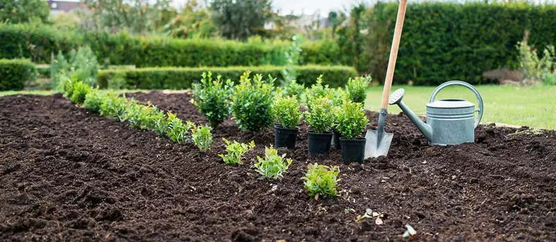 Frisch bepflanztes Beet mit gesetzten Stauden, weitere Pflanzen stehen noch in Töpfen bereit